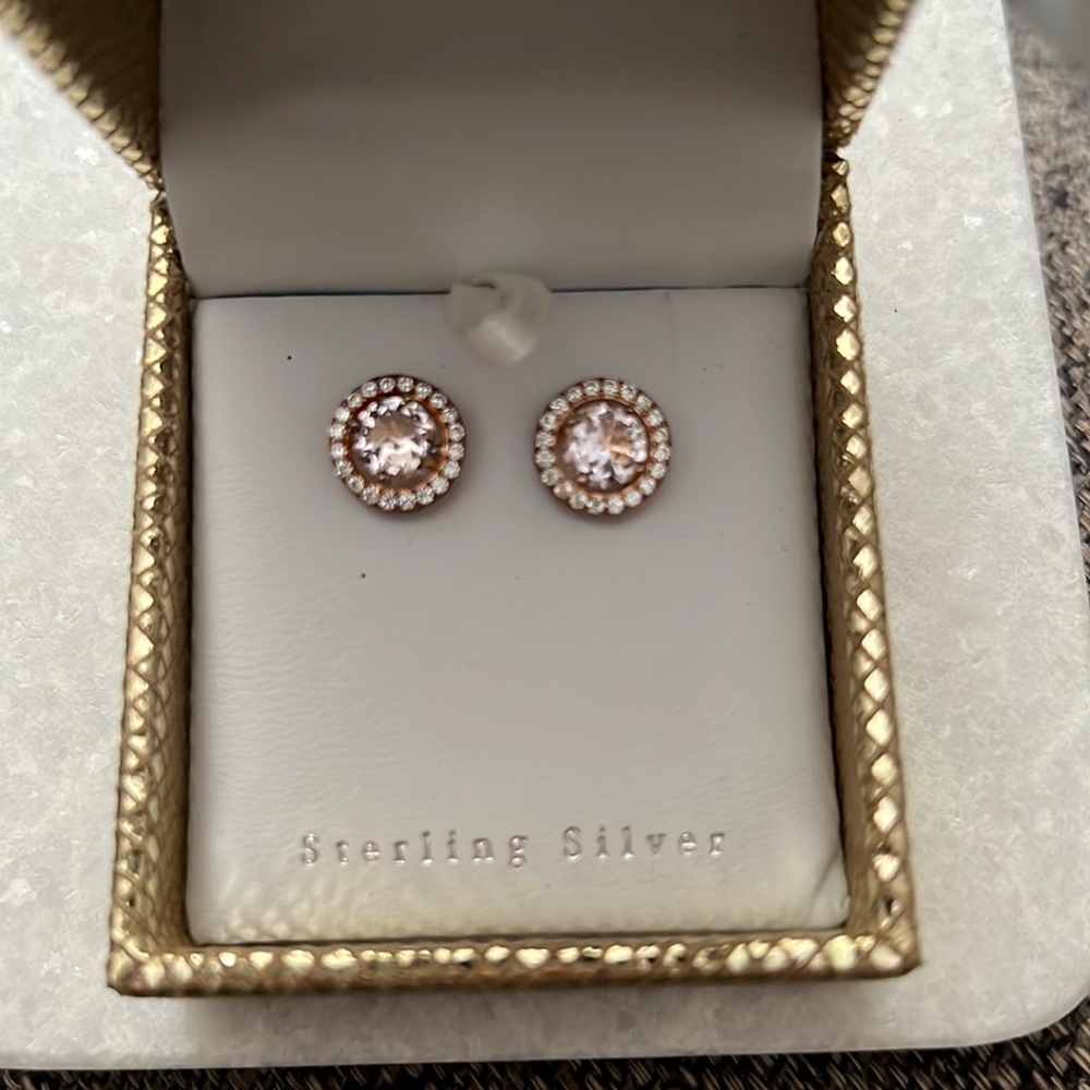 Gorgeous Rose Gold Crystal Earrings NWT